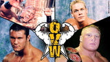 Ohio Valley Wrestling. OVW  1999-2008