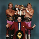 The best of the Midnight Express in MSW/NWA/WCW 1983-1990.BO