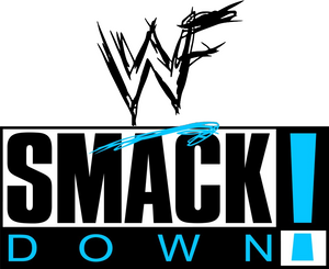 WWF/WWE  SmackDown  Bundle 1999-2023 ALL 24 for ONE LOW price+Free Priority shipping! BO