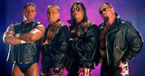 The History of The Hart Foundation in WWF 1985-1997 BO