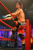 The Cm Punk Anthology in TNA/ROH/PWG/IWA MS/WWE/OVW. 2000-2014.Raw.Impact.BO